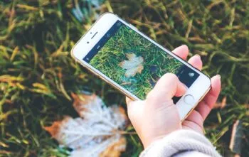 10 Apps para cuidar de plantas grátis 10 Apps para cuidar de plantas grátis